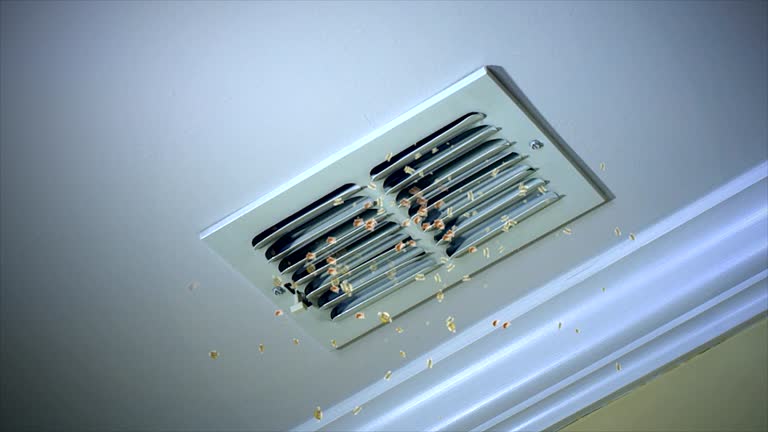 Best Emergency Air Duct Cleaning  in East Troy, WI