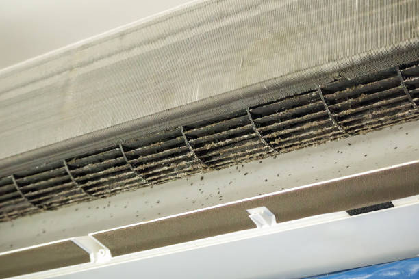 Best Ductwork Cleaning Services  in East Troy, WI