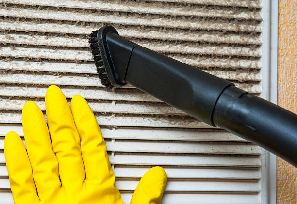 Best Local Air Duct Cleaning Services  in East Troy, WI
